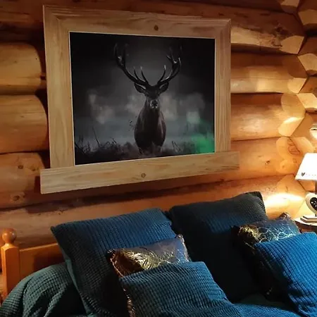 Les Rondins D'ecoche Holiday home *